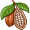 cocoa5