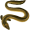 eel5