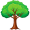 oak5