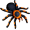 tarantula5
