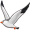 albatross5