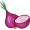 onion5