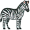 zebra5