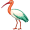 ibis5