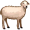 ewe5