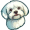 maltese5