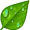 dew5