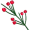 ephedra5