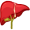 liver5