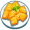 ravioli5