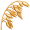 oats5