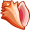 conch5