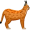 lynx5