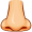 nose5