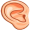 ear5