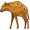 hyena5