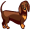 dachshund5