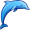 dolphin5