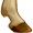 hoof5