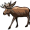 elk5