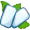 gum5