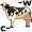 c-o-w5
