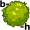 b-us-h5