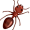 ant5