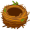 nest5