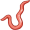 earthworm5