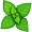 mint5