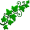 ivy5
