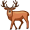 elk5