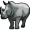 rhino5