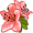 azalea5