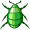 bug5
