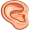 ear5