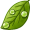 dew5