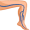 vein5