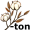 cot-ton5