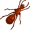 ant5