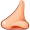 nose5