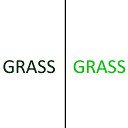 THE GRASS IS ALWAYS GREENER ON THE OTHER SIDE