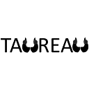 PRENDRE LE TAUREAU PAR LES CORNES