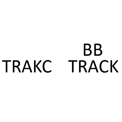 TO BE ON THE RIGHT TRACK