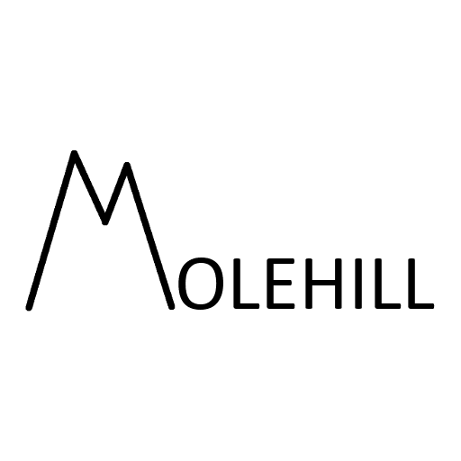 MAKE A MOUNTAIN OUT OF A MOLEHILL