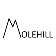 MAKE A MOUNTAIN OUT OF A MOLEHILL