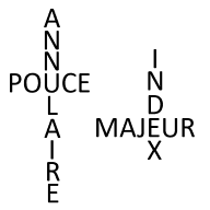 Entre les lignes POUCE ANNULAIRE MAJEUR INDEX