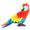 Parrot pack