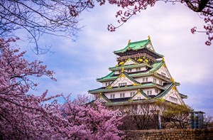 Japan - Osaka Castle